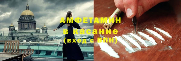 стаф Вяземский