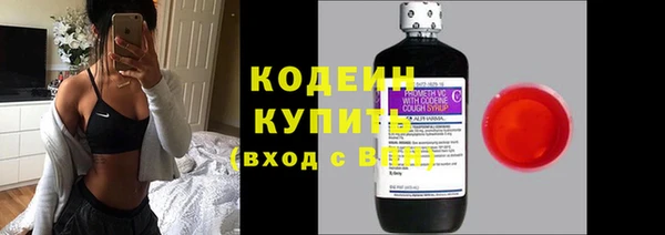 стаф Вяземский
