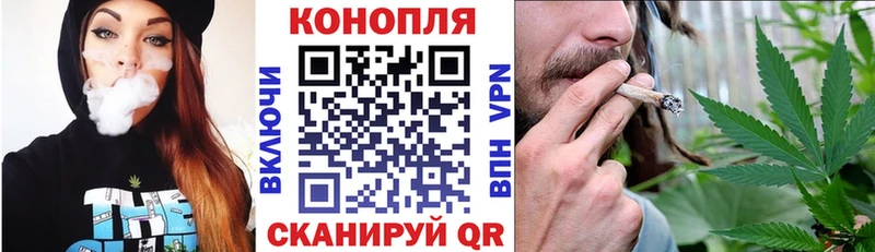 наркошоп Кодинск Каннабис SATIVA & INDICA